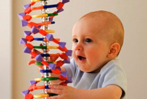 Риторический вопрос: гены или среда?