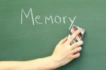 Ученые научились стирать память избирательно